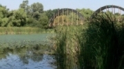 Kányavári-híd